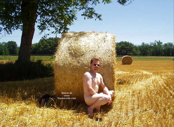 Pic #1M* Golden Fields And Dusty Gravel