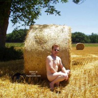 Pic #1M* Golden Fields And Dusty Gravel