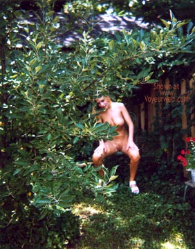 Pic #1Naked Girl in My Backyard