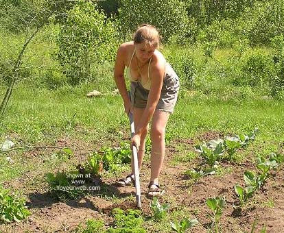 Pic #1Gardening With Hc