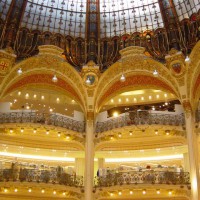 Pic #1Flash Cards Bunny Enjoying Paris, France