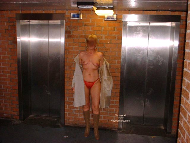 Pic #1 Lilac Gardens Sue Out Flashing Again