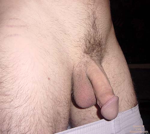 Pic #1M* New Hampshirite Male II