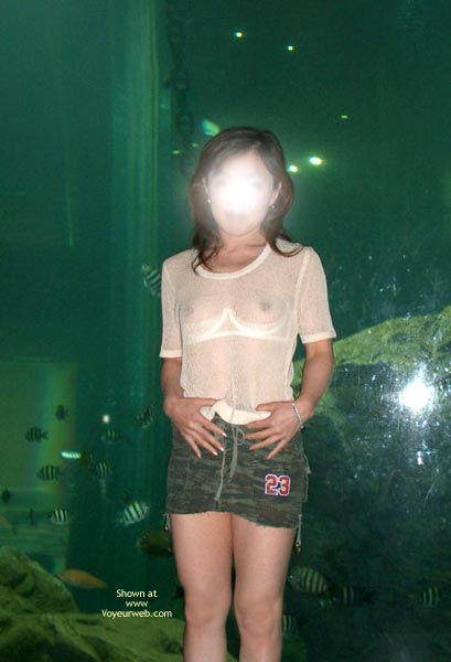 Pic #1Jasmine At Aquarium