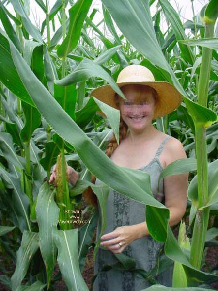 Pic #1 Jigsey's Corn Field