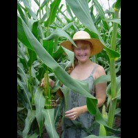 Pic #1 Jigsey's Corn Field