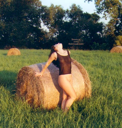 Pic #1Soft Meadow
