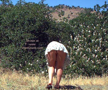 Pic #1It's a Beautiful Day