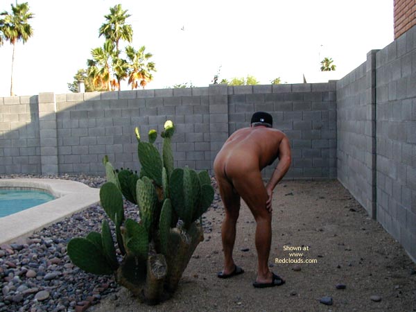 Pic #1M* From The Southwest