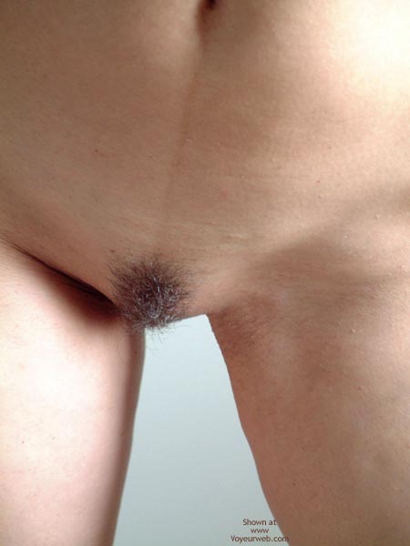 Pussy Closeup - Trimmed Pussy , Pussy Closeup, Pubic Hair Close Up, Brown Pubic Hair, Trimmed Pussy
