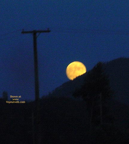 Pic #1Lai Fong Waking