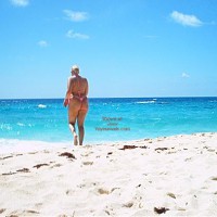 Vacation Pictures 2