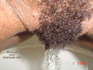 Pic #1The Ex