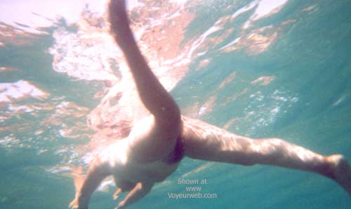 Pic #1 Shark Attack