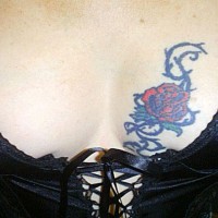 Sweet Chest