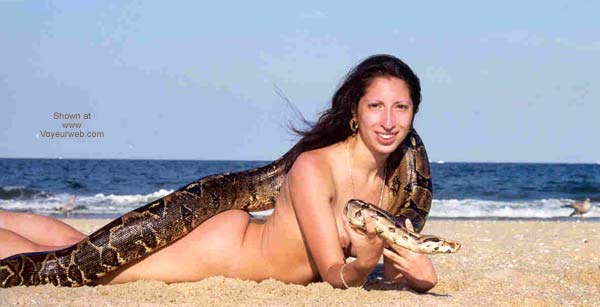 Pic #1 Snake at The Beach