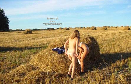 Pic #1*GG Two Rivers Games In a Haystack