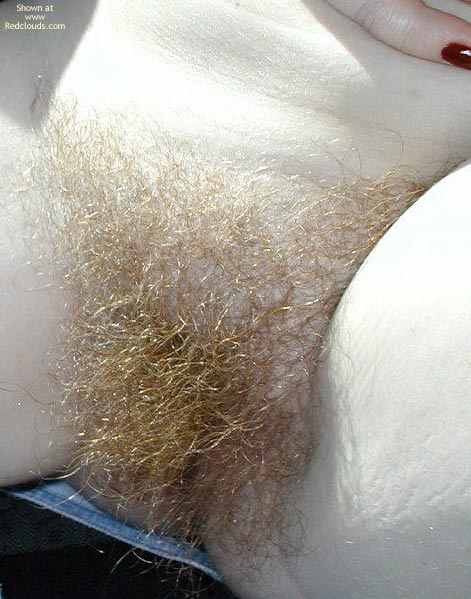 Pic #1The Ex