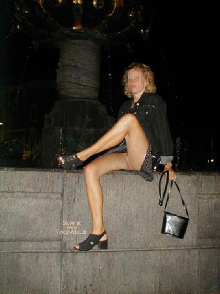 Pic #1A Recent Diner Tour to Copenhagen