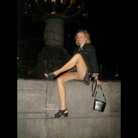 Pic #1A Recent Diner Tour to Copenhagen