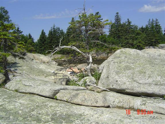 Pic #1Sexy In Maine