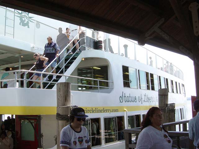 Pic #1Flash Cards Bunny At New York Harbor