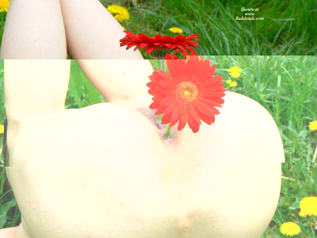 Pic #1*en Andrea's Both Ends