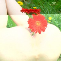 *en Andrea's Both Ends