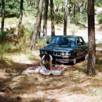 Outdoor Picnic