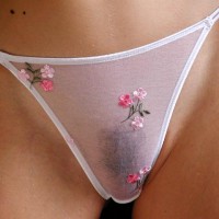 Closeup Of Panty Area - Thong , Closeup Of Panty Area, White Thong, Seethrough Panty, Bush Under Panty, Flowered Camel Toe