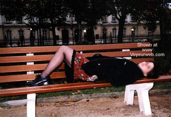 Pic #1Petite Puce a Lyon