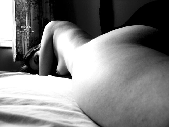 Pic #1Kalmia In The Afternoon