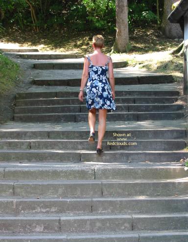 Pic #1First Contri - A Holy Day