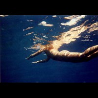 Summer Ingreece Underwater
