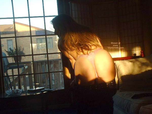 Pic #1Catnip