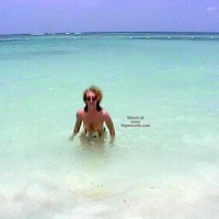 Pic #1Beachbird Tits