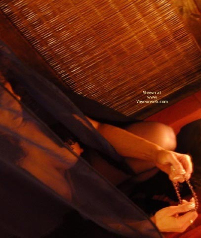 Pic #1Gala Misteriosa