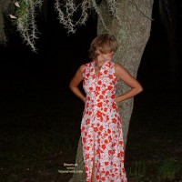 Pic #1Jgirl Midnight In The Bayou 1
