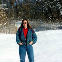 Shade In The Snow