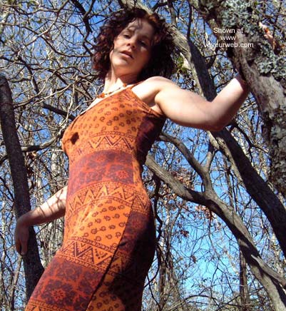 Pic #1Blue Ridge Beauty Up a Tree