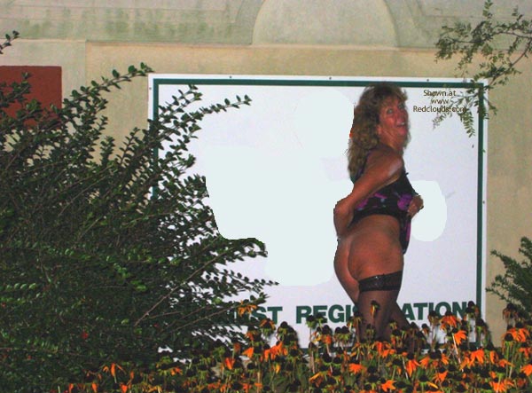 Pic #1Anal Sally,Hotel Fun