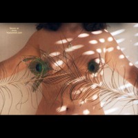 Pic #1Jovem Portuguesa