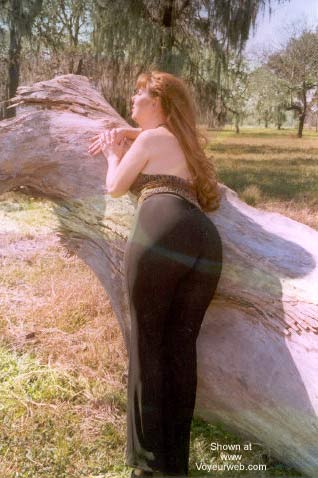 Pic #1Dawn K