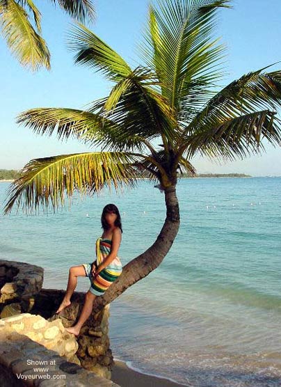 Pic #1Lamb from South Ontario