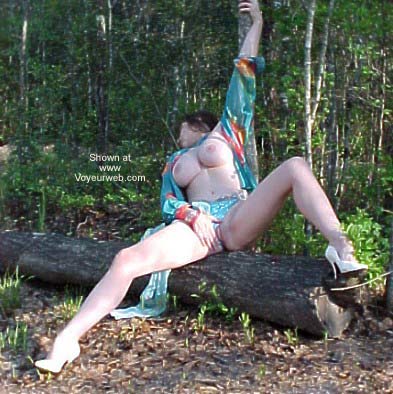 Pic #1Last Outlaw's Dixie