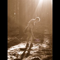 Pic #1 Forest Exploration