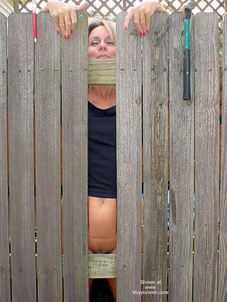 Pic #1Lucious Mending Fences