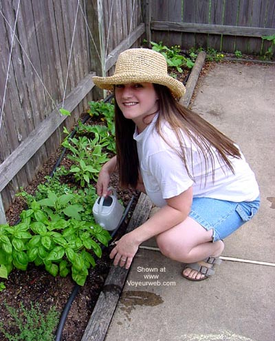 Pic #1Katie's Milk Garden