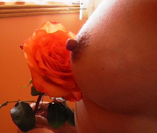 Pic #1*SA Bobbi's Flower