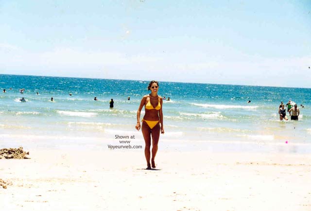 Pic #1Eurasian Delight